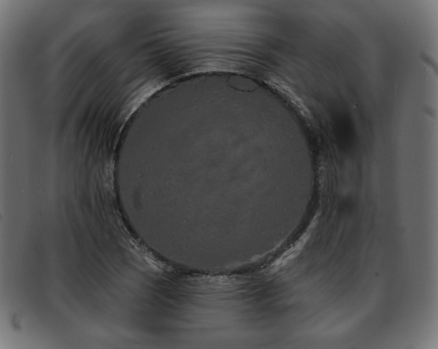 X0000093761121200710161218