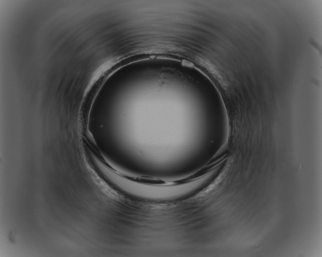 X0000093761122200710161218