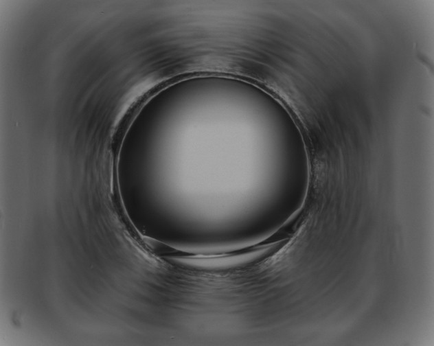 X0000093761123200710161218