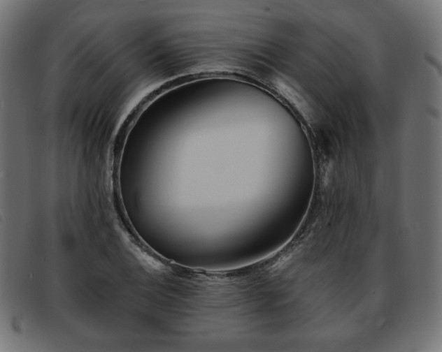 X0000093761124200710161218