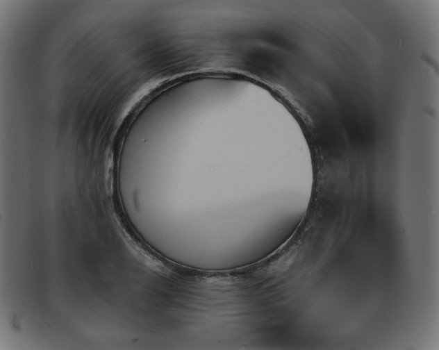 X0000093761126200710161218