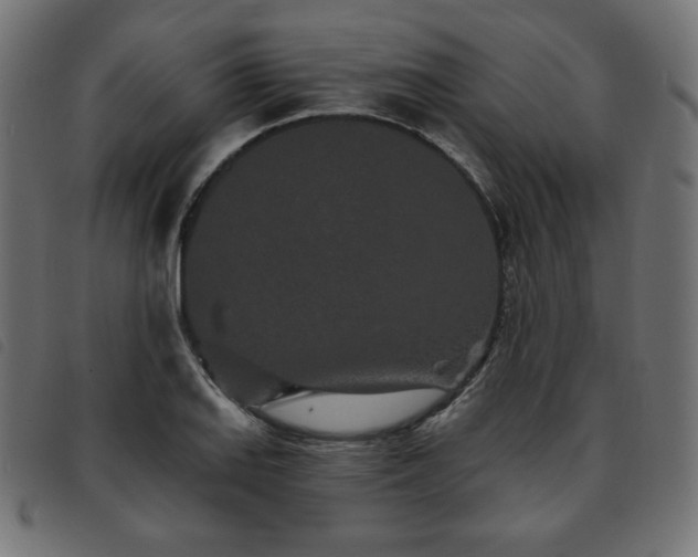 X0000093761127200710161218