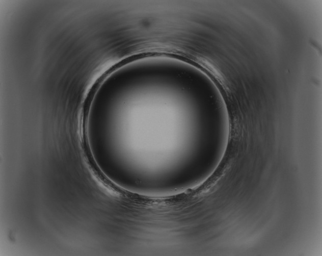 X0000093761128200710161218
