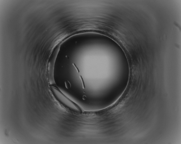 X0000093761129200710161218