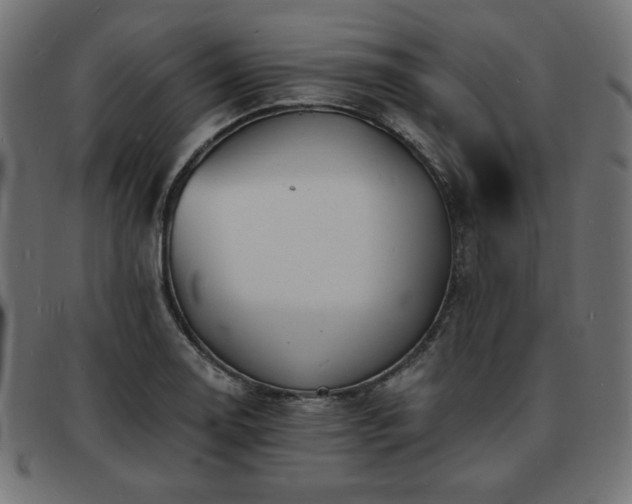 X0000093761130200710161218