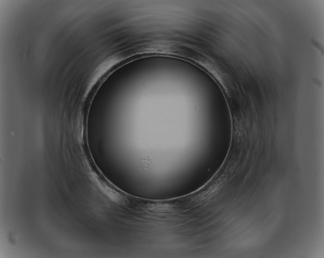X0000093761131200710161218