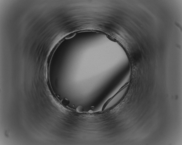 X0000093761132200710161218