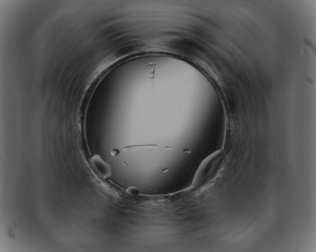 X0000093761133200710161218