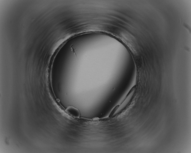 X0000093761134200710161218