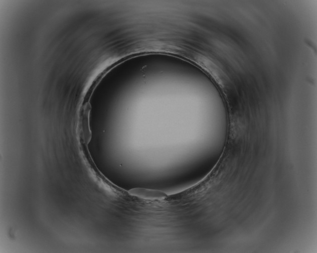 X0000093761136200710161218