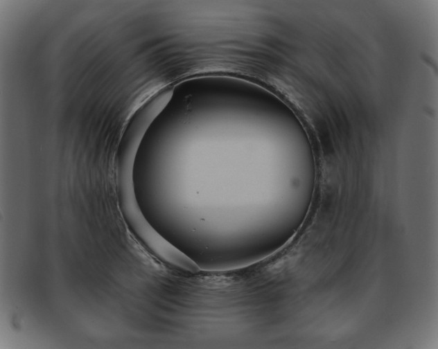 X0000093761137200710161218