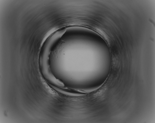 X0000093761138200710161218