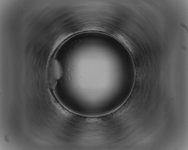 X0000093761140200710161218