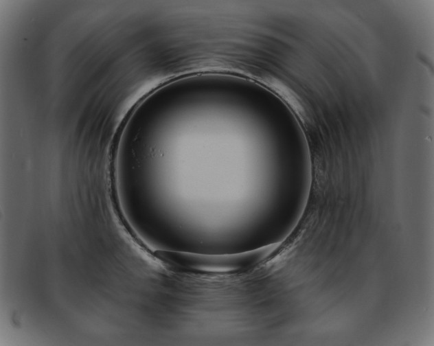 X0000093761142200710161218