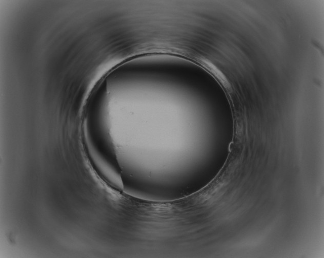 X0000093761144200710161218