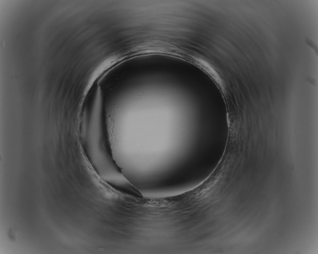 X0000093761146200710161218