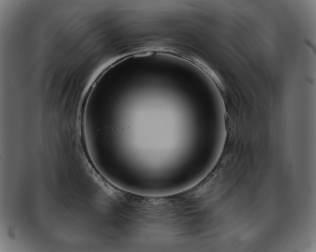 X0000093761148200710161218