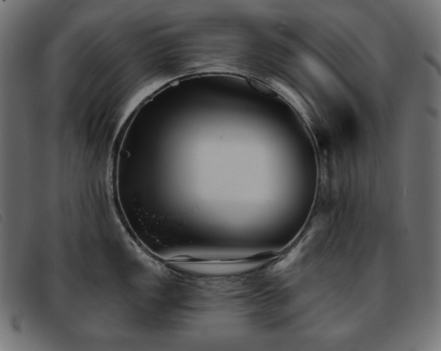 X0000093761149200710161218