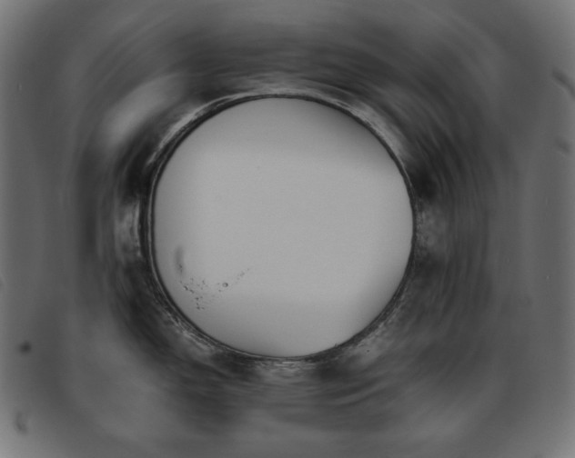 X0000093761150200710161218