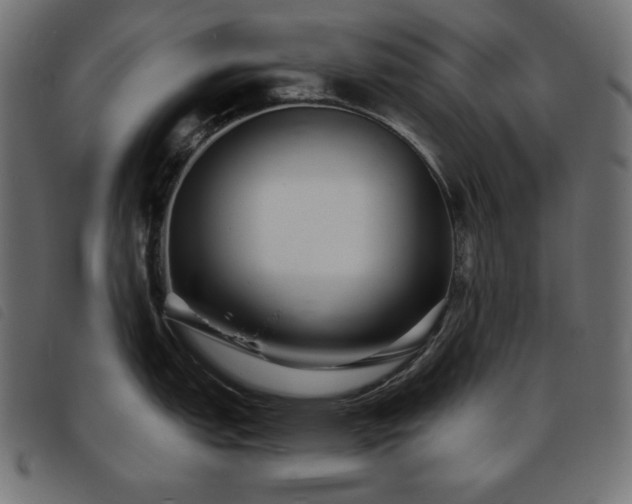 X0000093761151200710161218