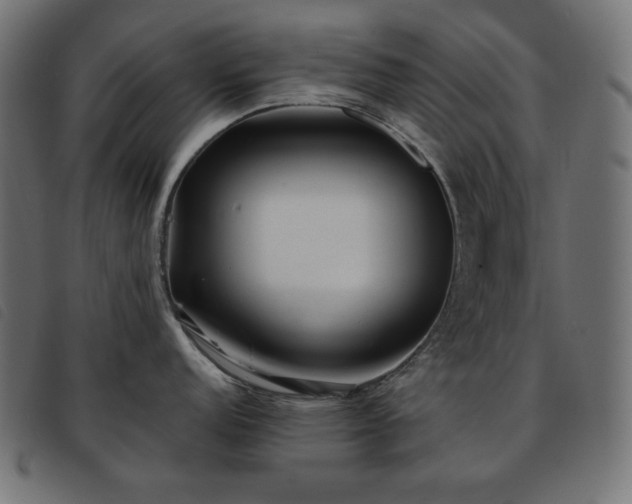 X0000093761152200710161218