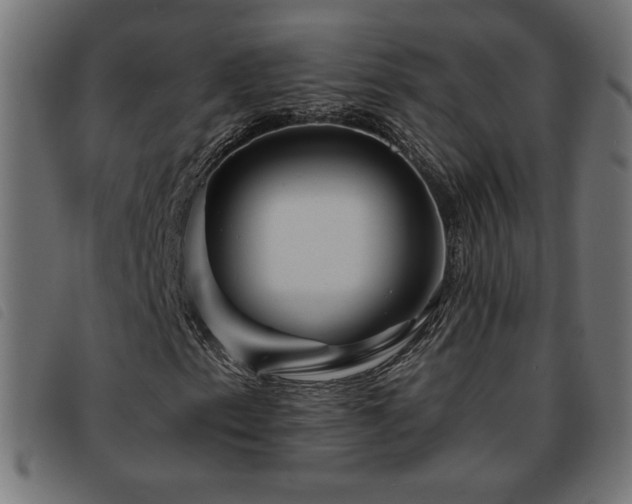 X0000093761153200710161218