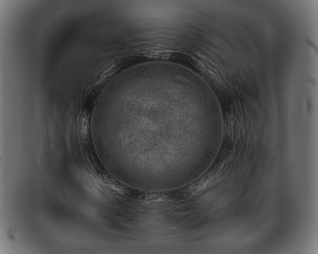 X0000093761154200710161218