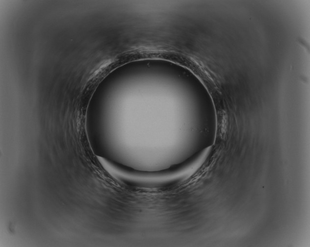 X0000093761157200710161218