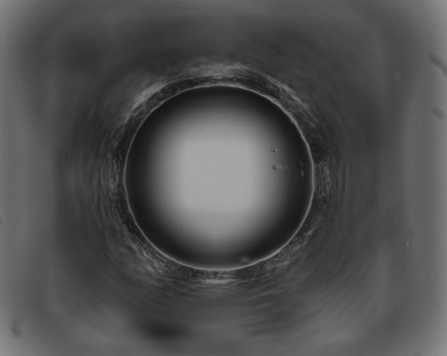 X0000093761158200710161218
