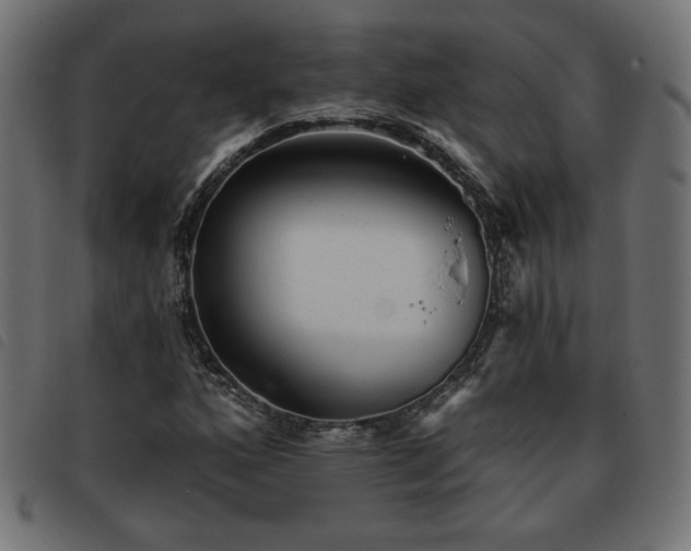 X0000093761160200710161218