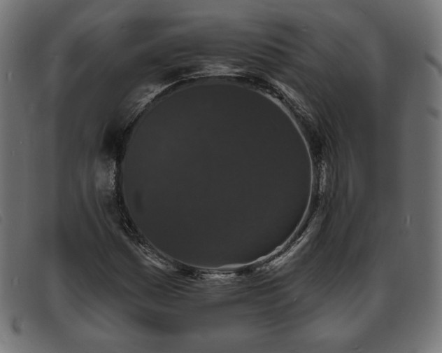 X0000093761161200710161218