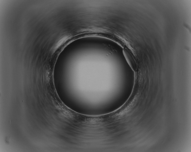 X0000093761163200710161218