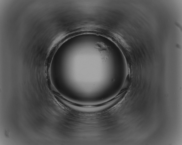 X0000093761164200710161217