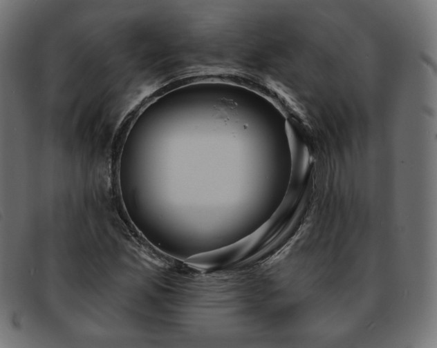 X0000093761165200710161217