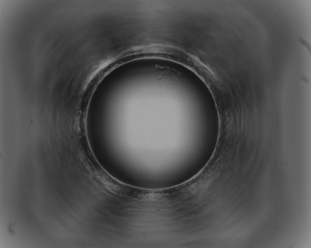 X0000093761166200710161217