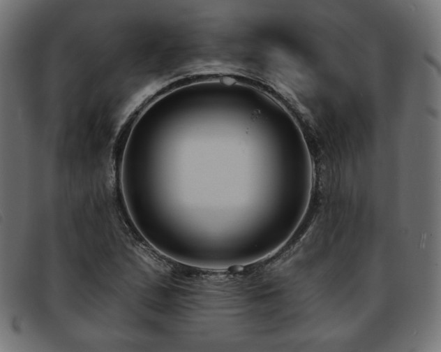 X0000093761167200710161217
