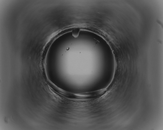 X0000093761168200710161217