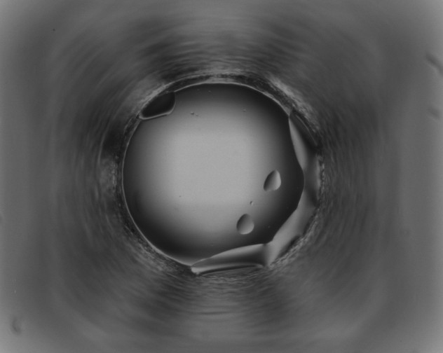 X0000093761169200710161217