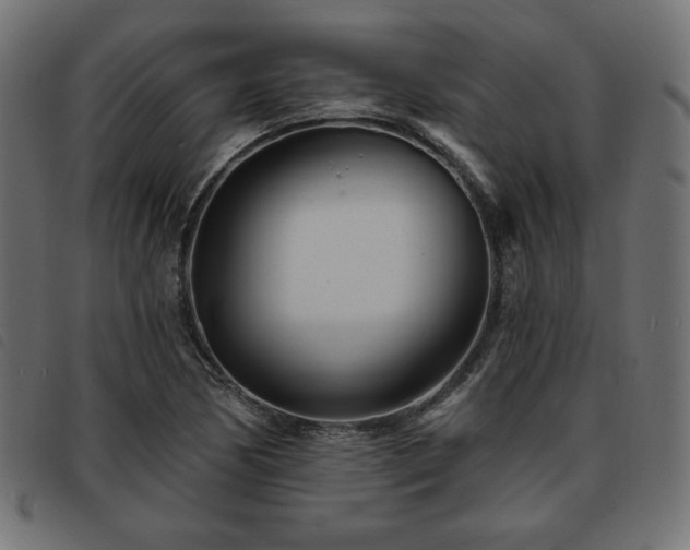 X0000093761170200710161217