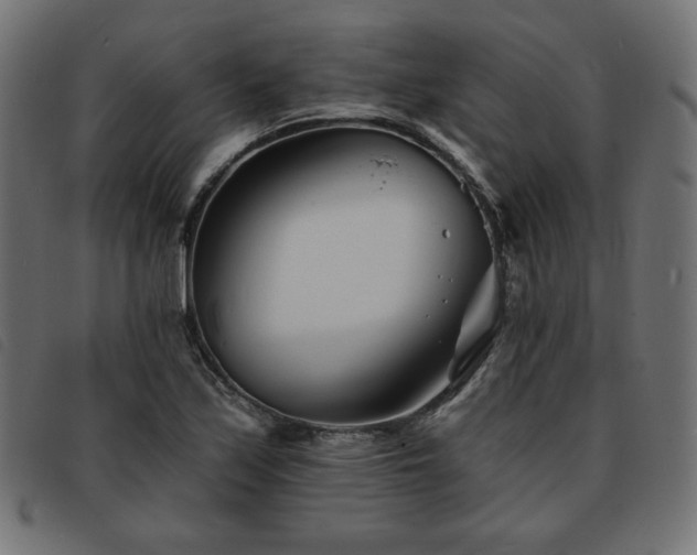 X0000093761171200710161217