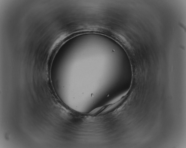 X0000093761172200710161217