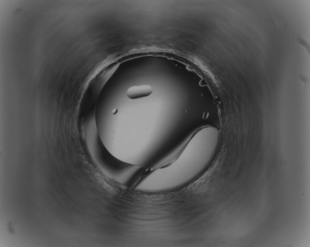 X0000093761173200710161217