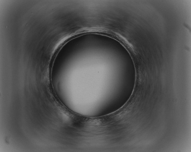 X0000093761174200710161217