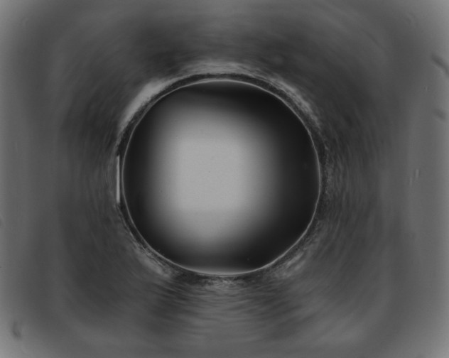 X0000093761175200710161217