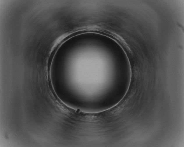 X0000093761176200710161217