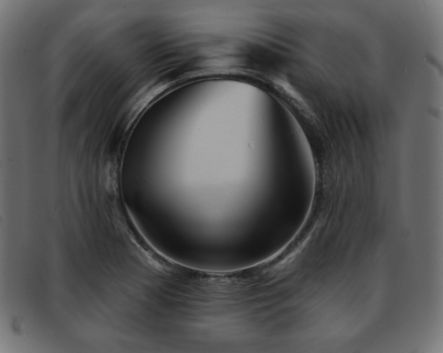 X0000093761177200710161217