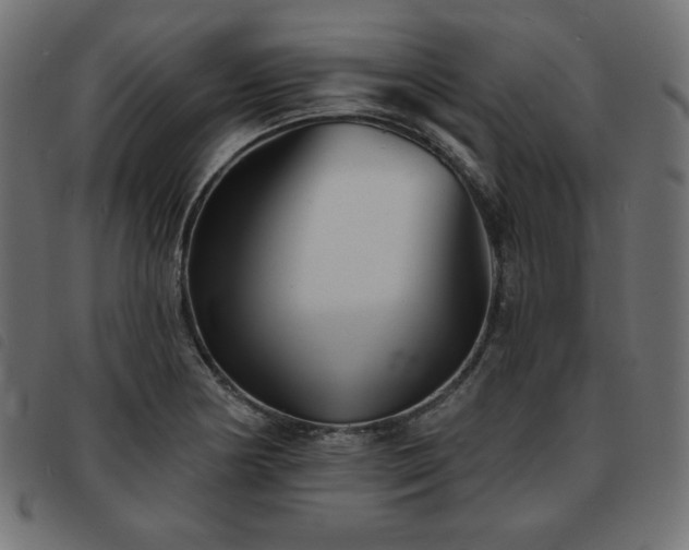 X0000093761178200710161217
