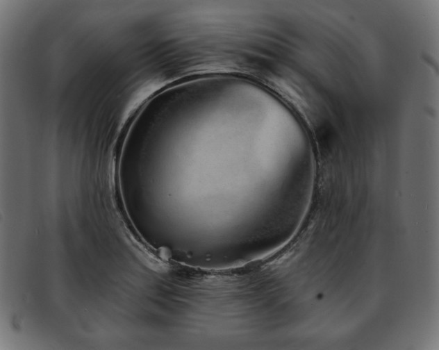 X0000093761179200710161217
