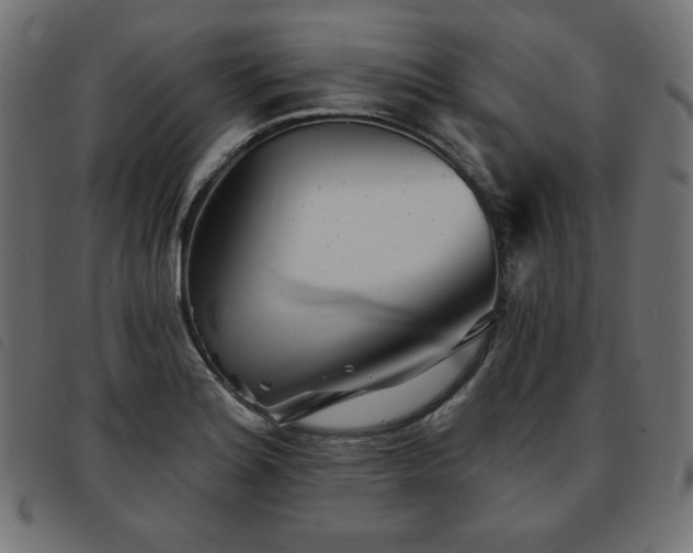 X0000093761180200710161217