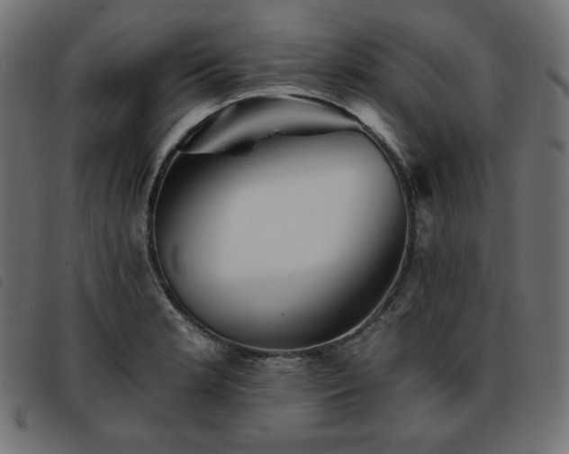X0000093761181200710161217